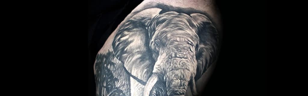 Elephant Tattoo LV SDT